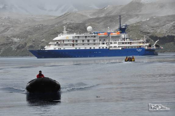 Zodiacs levam os passageiros de volta ao Sea Spirit, em Stromness, na Geórgia do Sul
